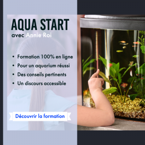 Formation aquariophilie en ligne
